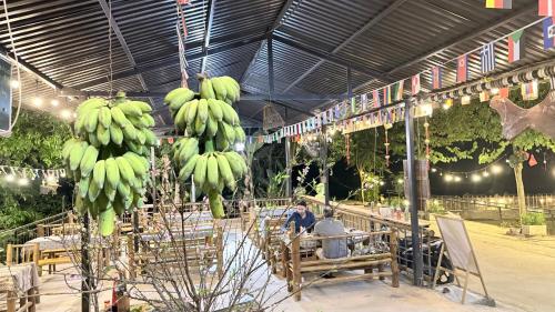 Une bande de bananes vertes suspendues au plafond dans l'établissement La Mai Chau Home, à Mai Châu