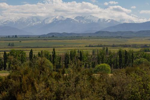 a field with trees and mountains in the background at Om infinity - Pre opening in Tupungato