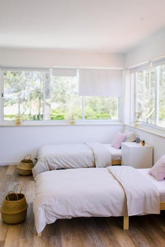 Surf & Yoga Retreats Portugal