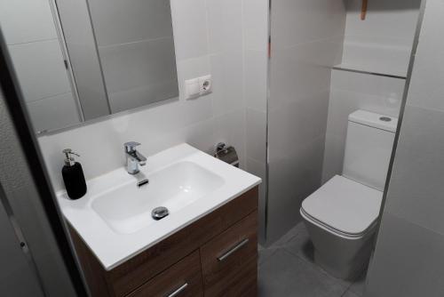 un bagno con lavandino e WC di B&F Paloma a Benalmádena