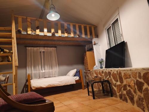 TV a/nebo společenská místnost v ubytování Buenas vistas y privacidad, tranquila y fresca villa en el bosque de Valencia con una magnífica piscina de 80m2