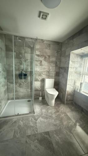 a bathroom with a shower and a toilet at Tipperary Town House in Tipperary