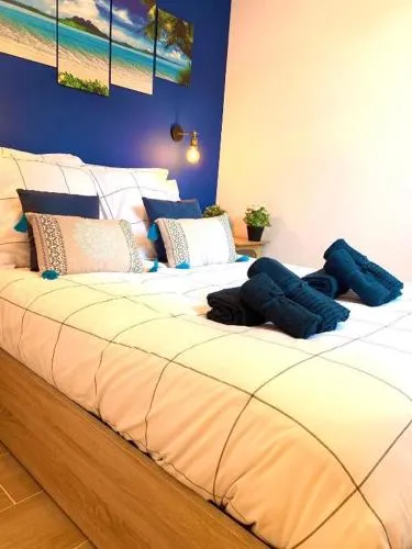 New - Appartement ou Studio Vieil Antibes photo 32