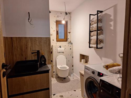 a bathroom with a washing machine and a toilet at Casa Delia in Balta