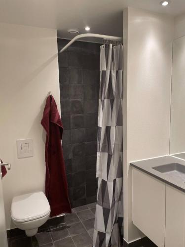 a bathroom with a shower and a toilet and a sink at Lake view, private balcony in Skanderborg
