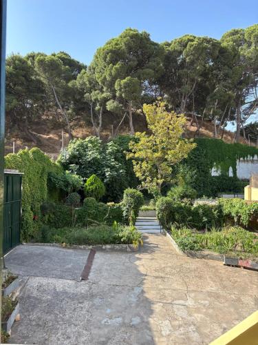 Family home with pool and garden in Tudela center