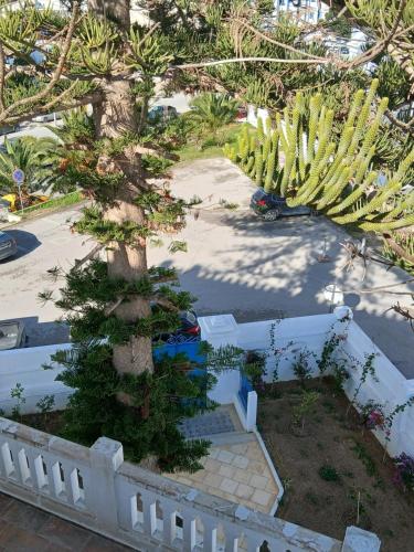 Zahrada ubytování L'expérience Roof Top de La Marsa