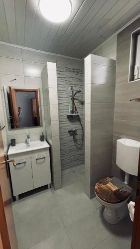 a bathroom with a shower and a toilet and a sink at Apartman a tengernél in Vir