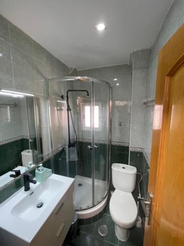 a bathroom with a shower and a toilet and a sink at Piso en Calle Albares De La Ribera in Madrid