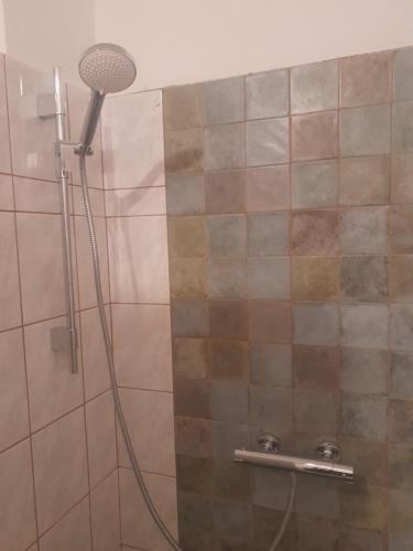 een douche met een douchekop in een badkamer bij Penzion U Pošty Blatná in Strakonice