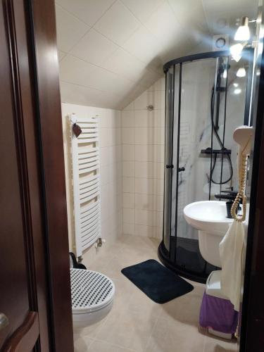 a bathroom with a shower and a toilet and a sink at Alpina in Krynica Zdrój