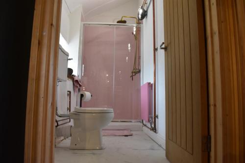 a bathroom with a white toilet in a room at Ty Llaeth in Llanstephan