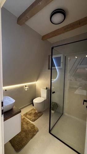 a bathroom with a toilet and a glass shower stall at Air Cabin A2, A-frame Șerani, Bihor in Şerani