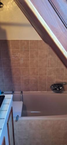 Studio Colmar avec jardin privatif