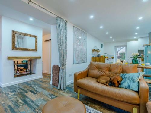 een hond op een bank in een woonkamer bij 4 Bed in Seascale oc-85807 in Gosforth