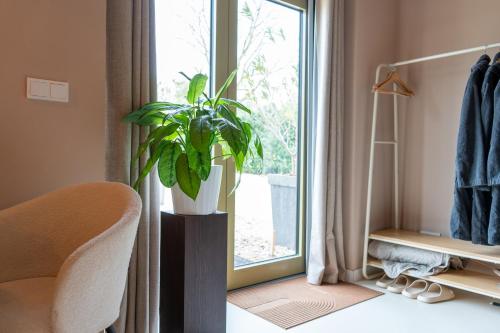 a plant in a vase sitting next to a window at Mera Luxe Wellness B&B, Ibiza-Bohemian Style Suites, Adults Only, optioneel prive Outdoor Wellness, Massage, Vuurkorf, gratis fles Wijn of Bubbels in America