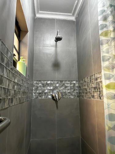 a shower with a shower head in a bathroom at Zengu in Lusaka