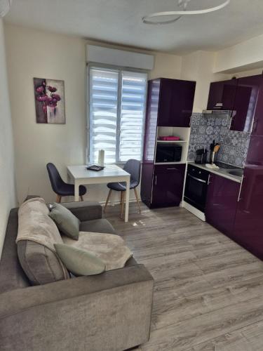 Plein centre Appartement climatisé et spacieux avec grande terrasse sur le toit à Nice photo 17