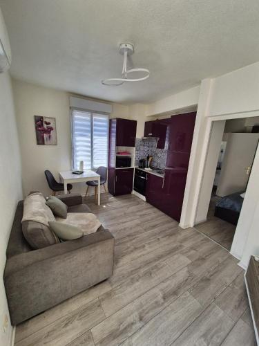 Plein centre Appartement climatisé et spacieux avec grande terrasse sur le toit à Nice photo 12