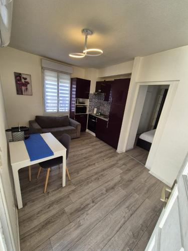Plein centre Appartement climatisé et spacieux avec grande terrasse sur le toit à Nice photo 16