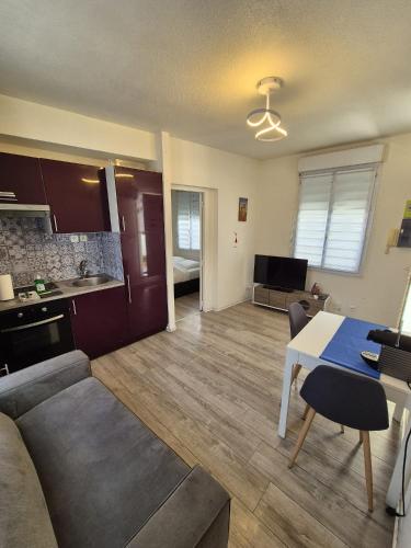 Plein centre Appartement climatisé et spacieux avec grande terrasse sur le toit à Nice photo 5