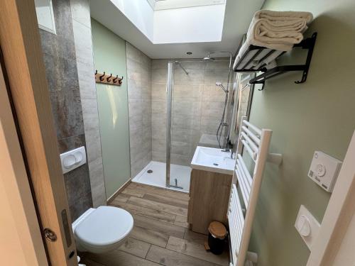 a bathroom with a toilet and a shower and a sink at Lodges des Pontons - Cap Est - vue mer in Saint-Côme-de-Fresné