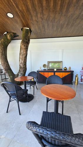 una stanza con un tavolo, sedie e un albero di Los Papyrus a Bahia