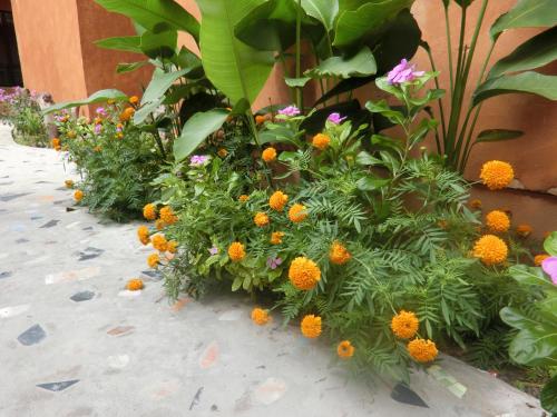 a bunch of flowers on the side of a building at Panisara Pool Villa Resort Huahin in Hua Hin