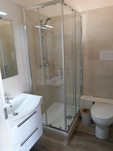 een badkamer met een douche, toilet en wastafel bij OSTERIA IL BECCO FINO affittacamere in Cumignano sul Naviglio