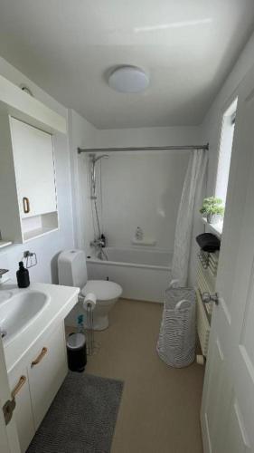 a bathroom with a sink and a toilet and a tub at IQ apartments 3 in Ytri-Njarðvík