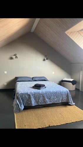 3-bedroom house with garden, near city center