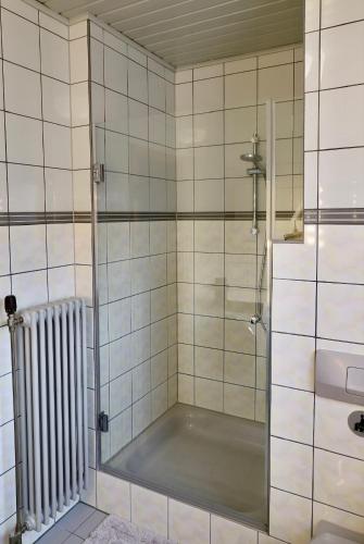 a shower with a glass door in a bathroom at Bühler Blick in Bühl