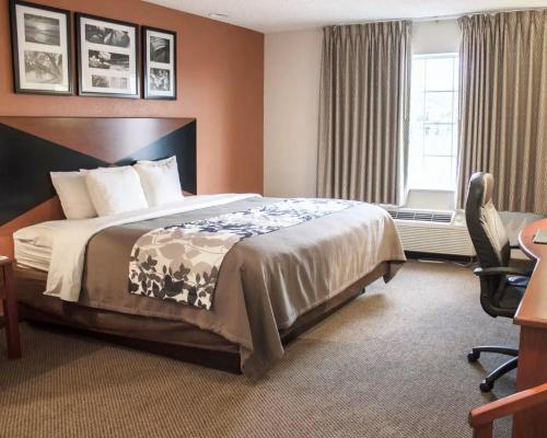 een hotelkamer met een bed en een raam bij Sleep Inn Pelham Oak Mountain in Pelham