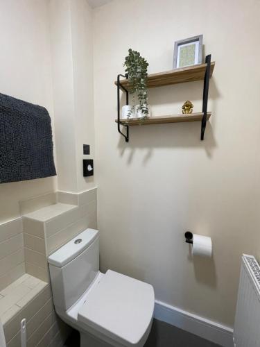 ein Badezimmer mit einem WC und einem Regal an der Wand in der Unterkunft 4 bed house perfect for contractors in Coseley