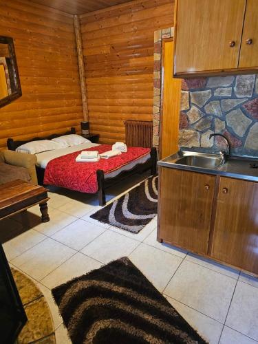 una camera da letto con un letto e un lavandino in una stanza di Zachlorou a Kalavrita