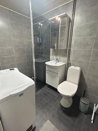 a bathroom with a toilet and a sink and a shower at Lomayksiö Vääksy 34m2 in Vääksy