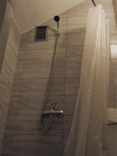 a shower with a shower head and a shower curtain at Kaunas Homestay in Kaunas