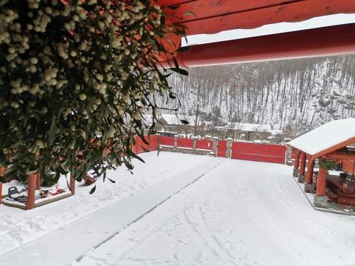 een met sneeuw bedekt gebouw met een kerstboom bij Dió vendégház in Praid