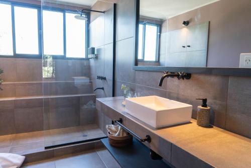a bathroom with a sink and a mirror at Trento Hotel Boutique in San Salvador de Jujuy
