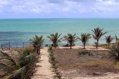 einen Feldweg zum Strand mit Palmen in der Unterkunft Pousada Vila Corada in Pipa