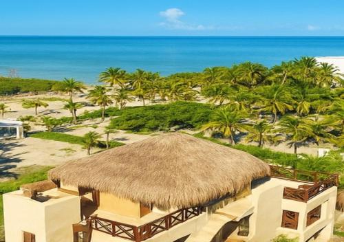 المناظر الطبيعية بالقرب من الفندق