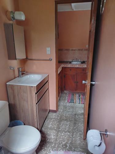 a bathroom with a toilet and a sink at Casa Canadiense in Chacarita