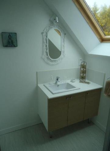 Maison de vacances في مويلان-سور-مير: حمام مزود بحوض ومِرآة