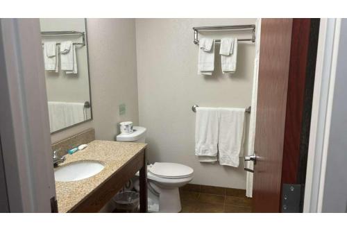 een badkamer met een toilet en een wastafel met handdoeken bij Pleasant Night Inn Watertown by Hotel O in West Carthage