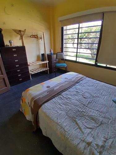 een slaapkamer met een bed, een dressoir en een raam bij Museo Mar in Mar del Plata
