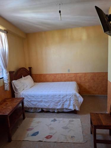 een slaapkamer met een bed in de hoek van een kamer bij Hotel planetario in San Miguel de Allende