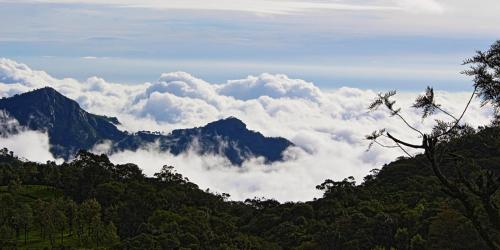 a view of a mountain with clouds in the sky at De Rock Jungle Living Resort in Coonoor