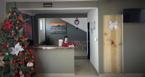 ein Weihnachtsbaum in einer Küche mit einem Weihnachtsbaum in der Unterkunft Brisas de Uribia in Uribia