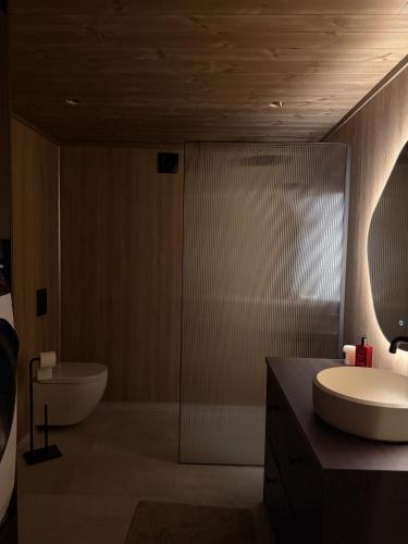 a bathroom with a toilet and a sink and a shower at Exclusive Cabin with Sauna in Fossmo