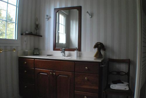 y baño con lavabo y espejo. en La Rachère en Vayres-sur-Essonnes